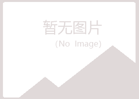 湛江坡头雪萍能源有限公司